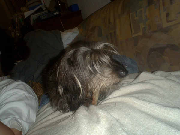 image0062