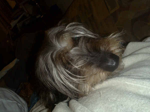 image0064