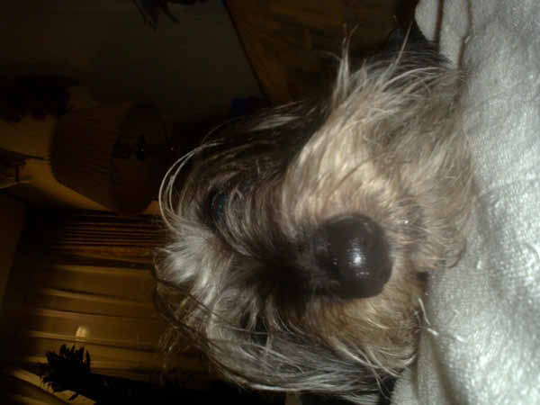 image0065