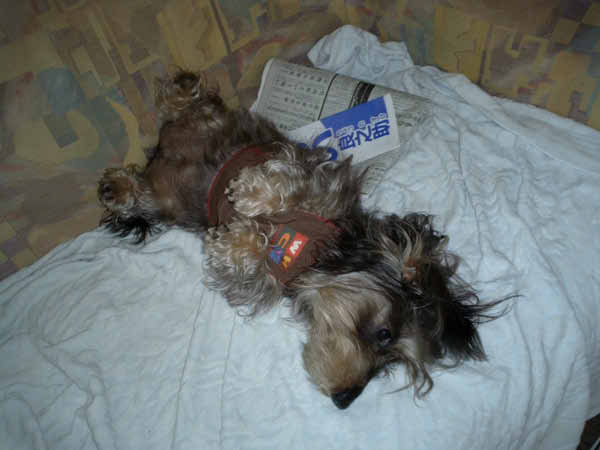 image0069