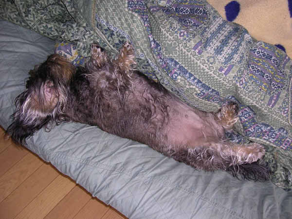 image0070