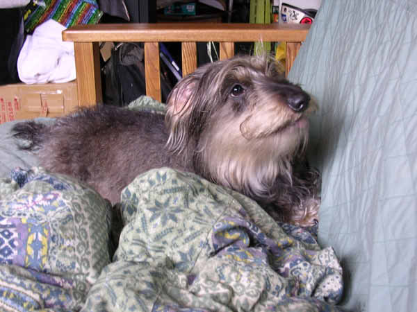 image0074