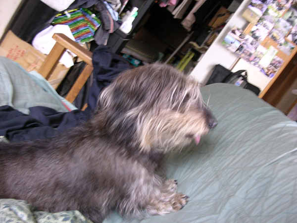 image0075