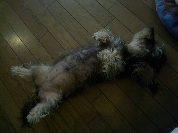image0078