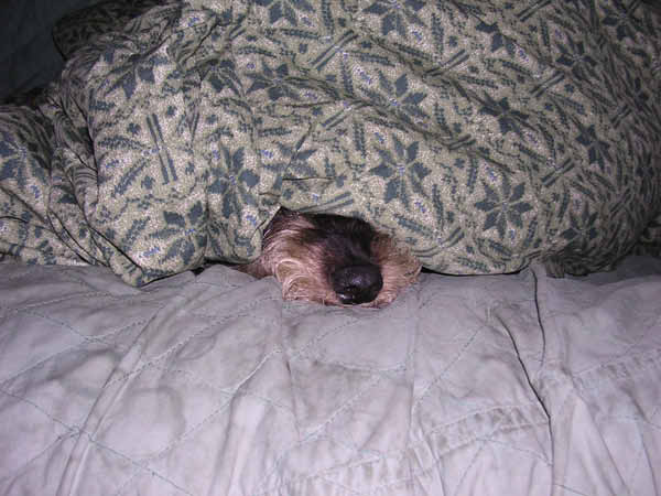 image0080