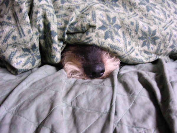image0081