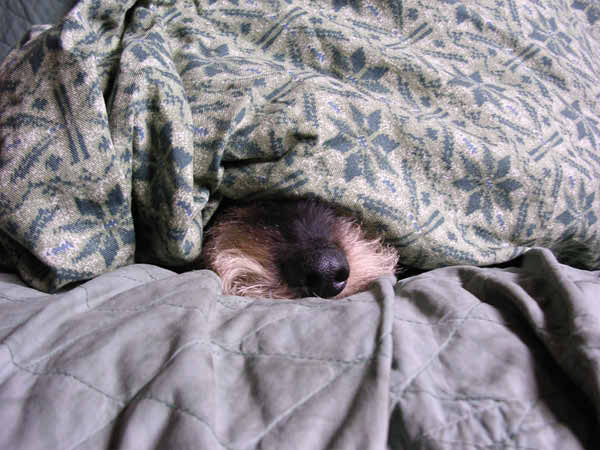 image0082