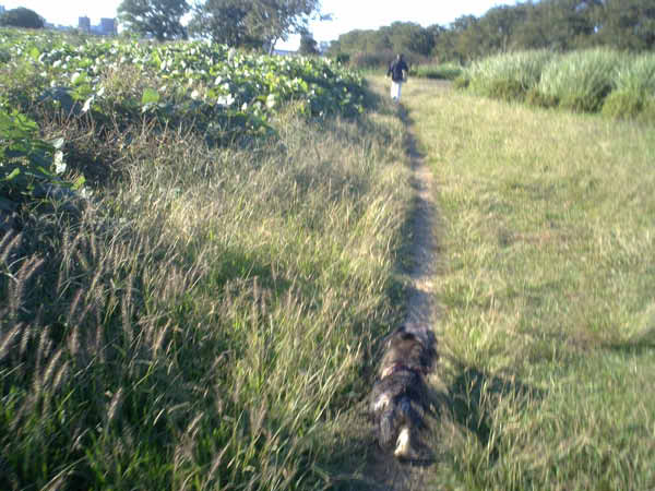 image0084