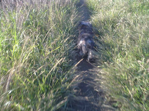 image0086