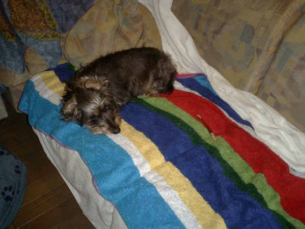 image0087