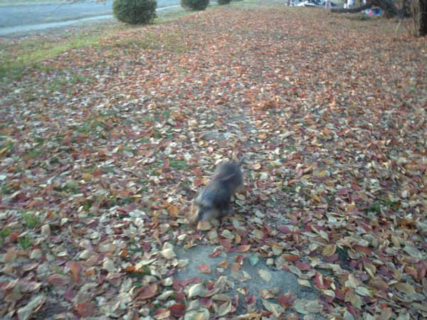 image0088