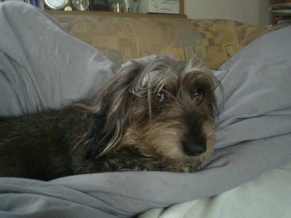 image0089