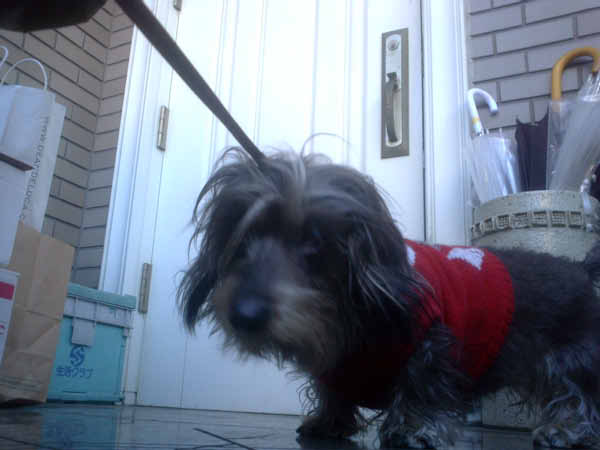 image0093