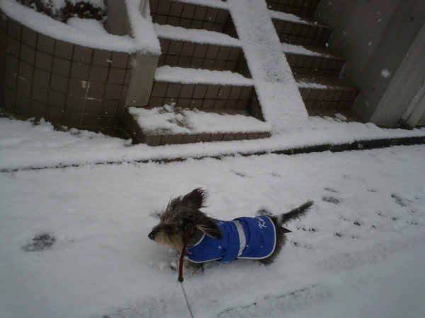 image0103