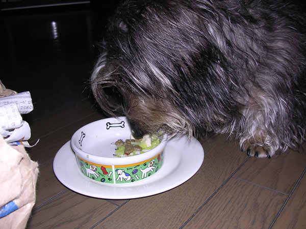 image0106