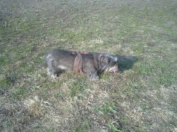 image0113