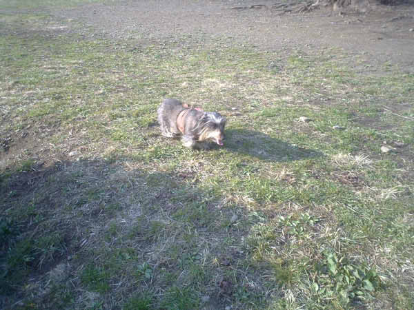 image0114