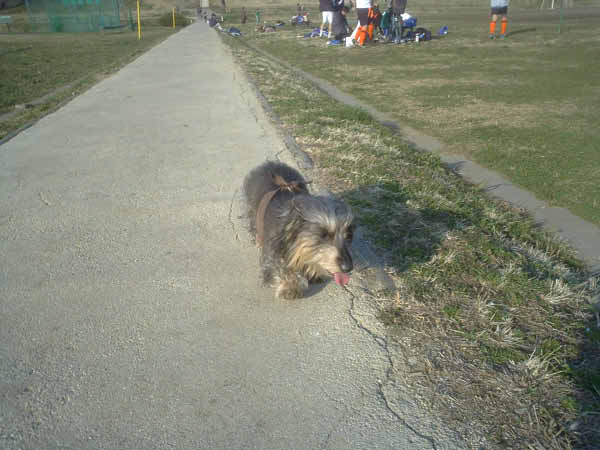 image0116