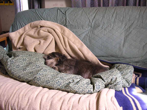 image0119
