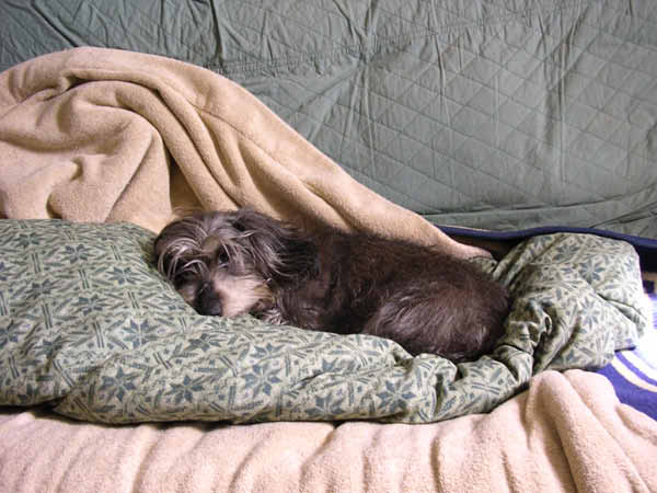 image0121