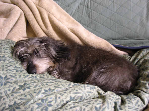image0122