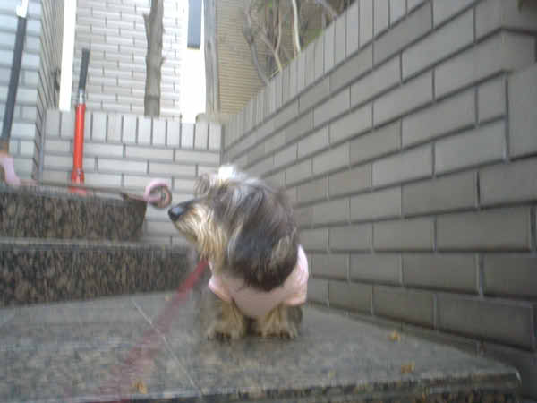 image0125