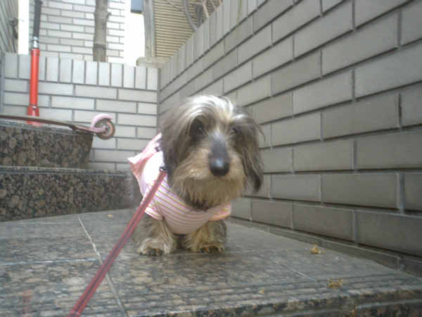 image0126