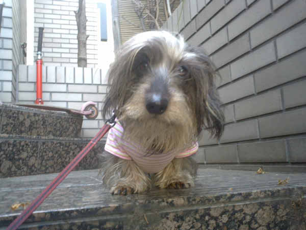 image0128