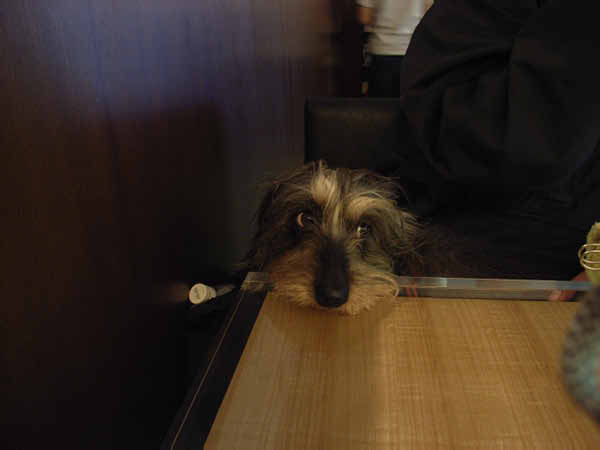 image0135