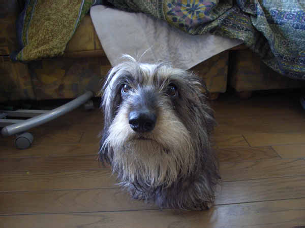 image0136