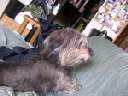 image0075