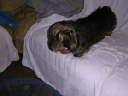 image0076