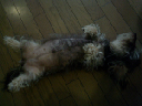 image0077