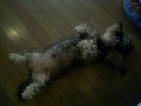 image0078