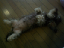image0079