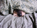 image0081