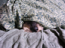 image0082