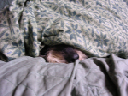 image0083