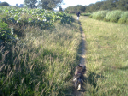 image0084