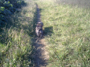 image0085