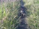image0086