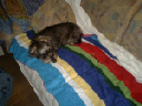 image0087