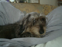 image0089