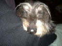 image0091
