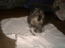 image0092