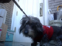image0093