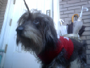 image0094