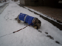 image0102