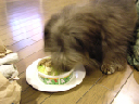image0105