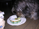 image0106